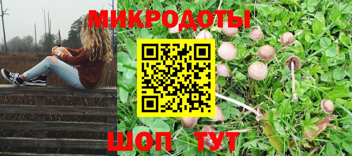 Тобольск  Псилоцибиновые грибы Psilocybe  Вход с VPN  Псилоцибиновые грибы мухоморы 